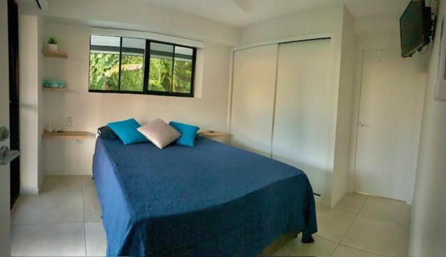 Whitsunday Dreams Daire Airlie Beach Dış mekan fotoğraf