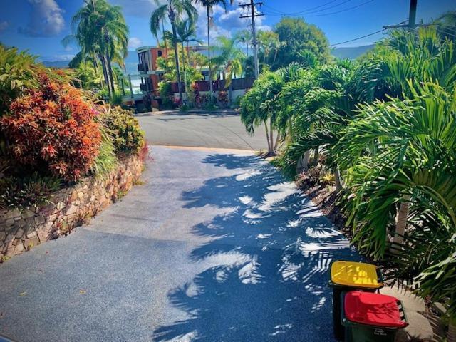 Whitsunday Dreams Daire Airlie Beach Dış mekan fotoğraf